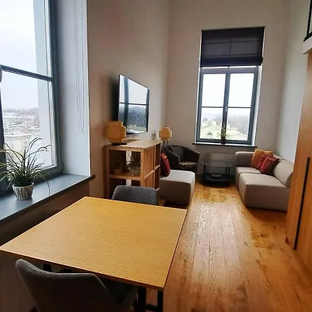 公寓 Kaunasinn Loft *