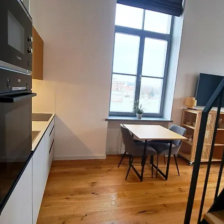 Apartment Kaunasinn Loft *