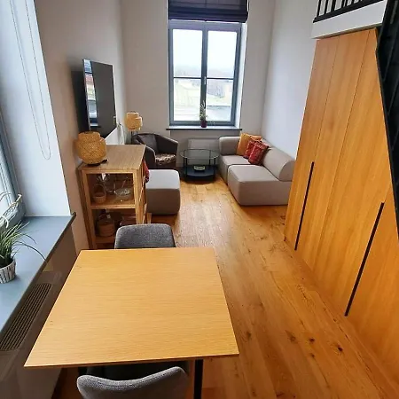 公寓 Kaunasinn Loft