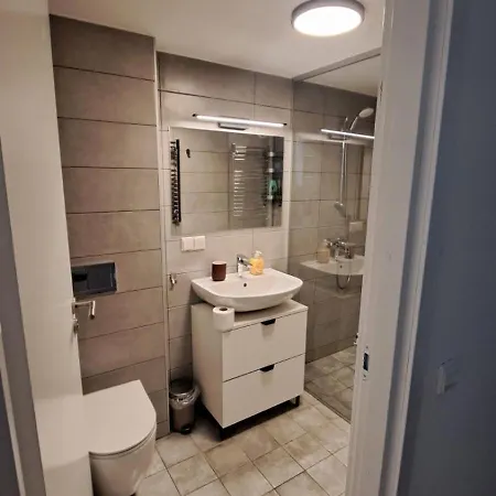 公寓 Kaunasinn Loft *